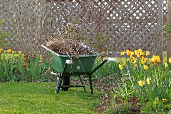 Flower Bed Cleanup Service in Wexford