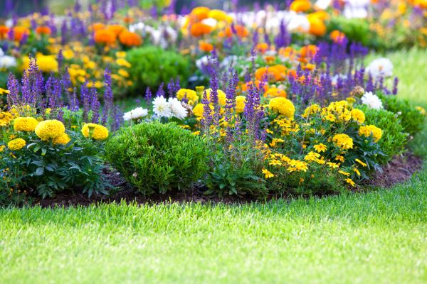 Flower Bed Maintenance in Wexford
