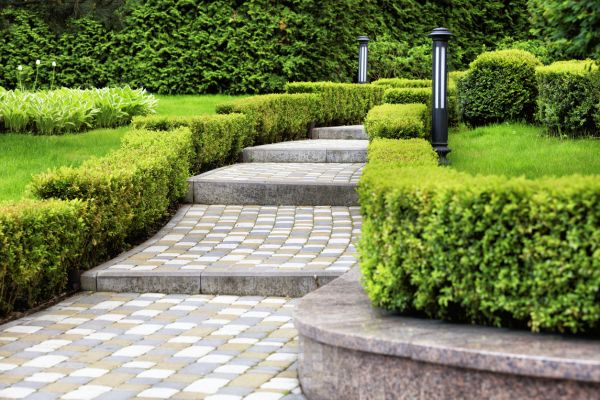 Backyard Remodeling in Wexford
