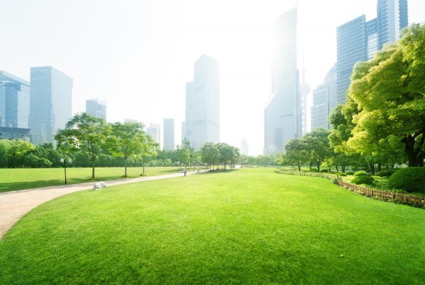 Commercial Landscape Maintenance in Wexford