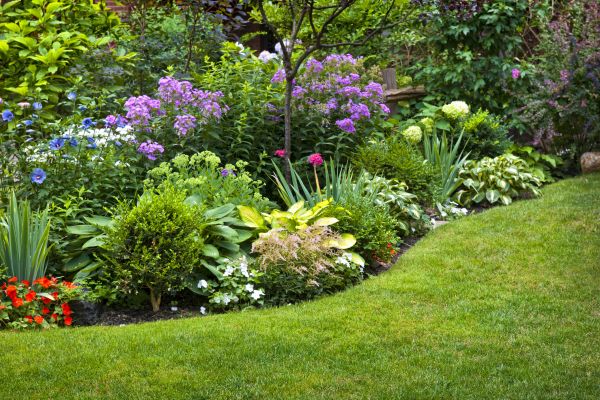 Flower Bed Service in Wexford