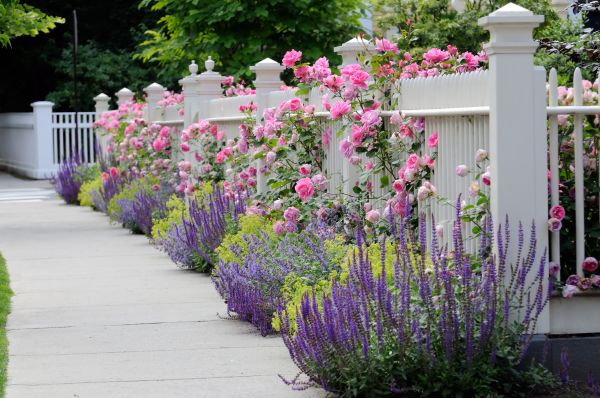 Garden Handyman Service in Wexford