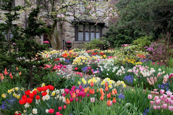 Garden Maintenance Service in Wexford