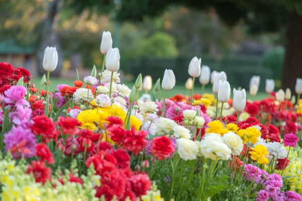 Gardening Service in Wexford