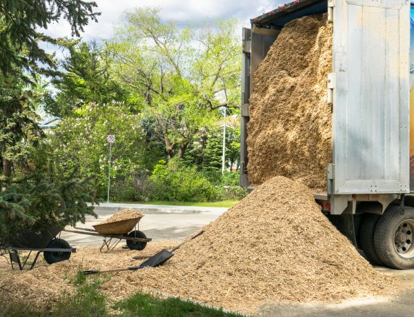 Wood Chips Delivery in Wexford