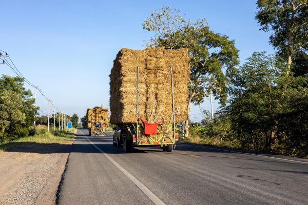 Pine Straw Delivery in Wexford