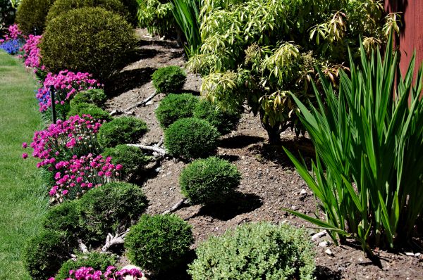 Residential Gardening in Wexford