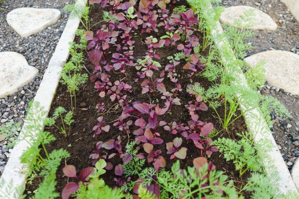 Edging Installation in Wexford