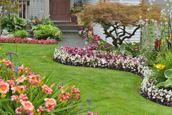 Perennial Landscaping in Wexford