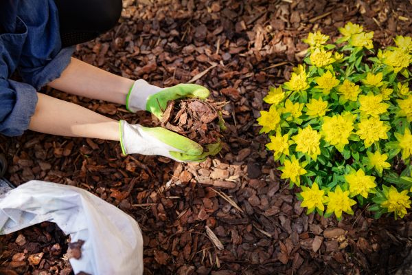 Pine Bark Mulch Installation in Wexford