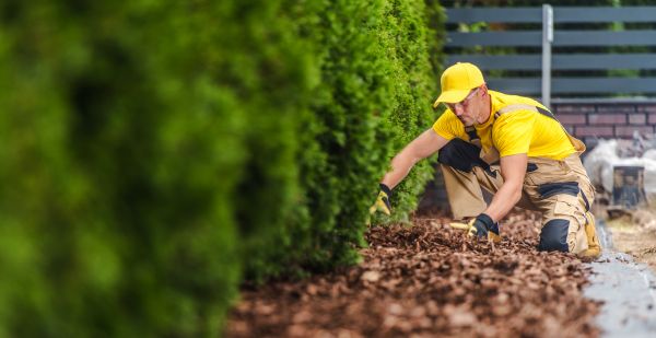Cypress Mulch Installation in Wexford