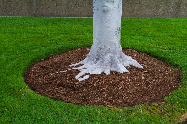Brown Mulch Installation in Wexford