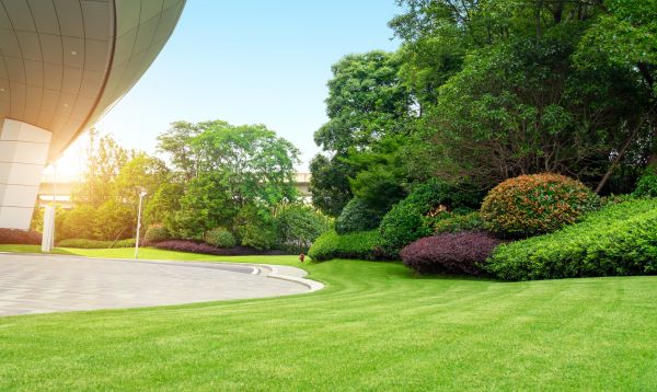 Business Landscape Design in Wexford
