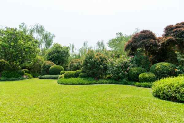 Tree Landscaping in Wexford
