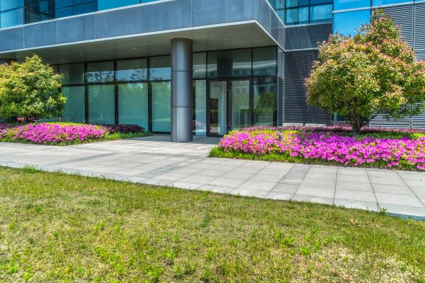 Commercial Gardening in Wexford