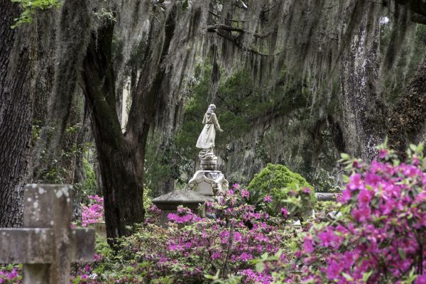 Cemetery Landscaping in Wexford