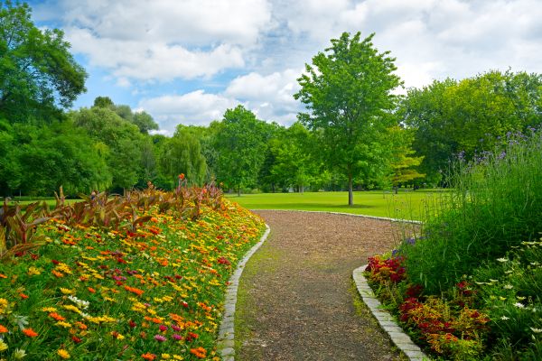 Park Landscaping in Wexford
