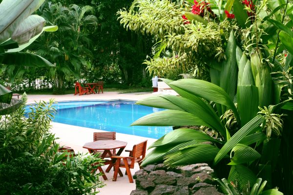 Tropical Garden Landscaping in Wexford