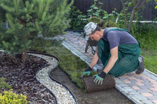 Landscaping Modification in Wexford