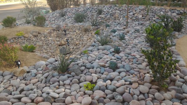 Yard Xeriscaping in Wexford