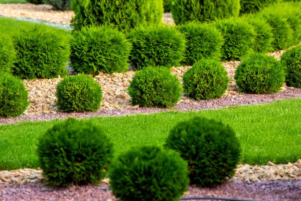 Bush Replacement in Wexford