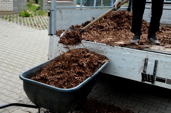 Cedar Mulch Delivery in Wexford