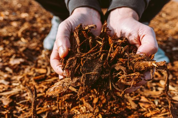 Bark Chips Delivery in Wexford