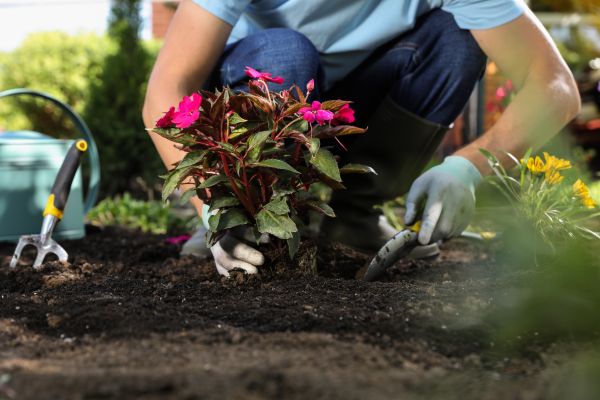 Plant Replacement in Wexford