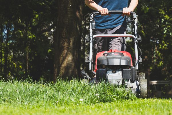 Garden Trimming Service in Wexford