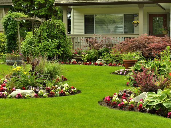 Flower Garden Planting in Wexford