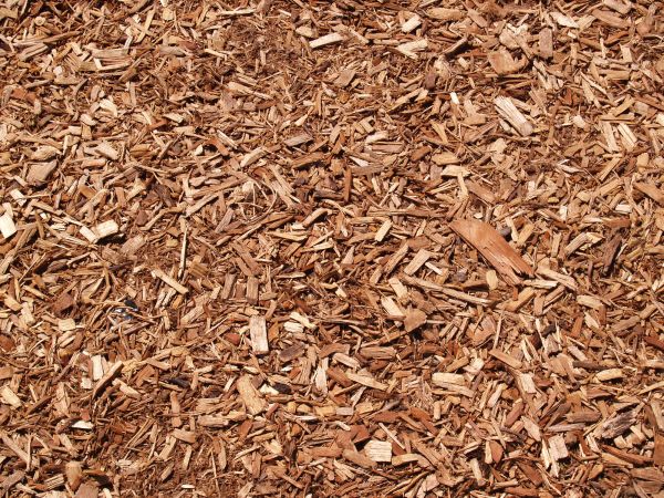 Wood Chip Installation