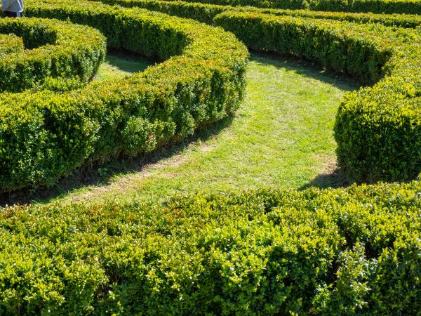Bush Landscaping in Wexford