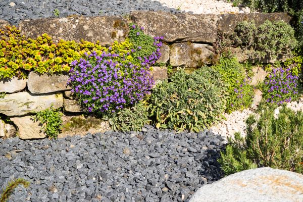 Landscaping Rocks Installation in Wexford