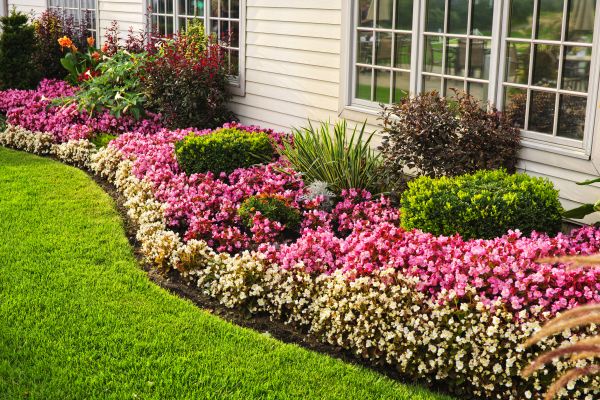 Garden Landscape Design in Wexford
