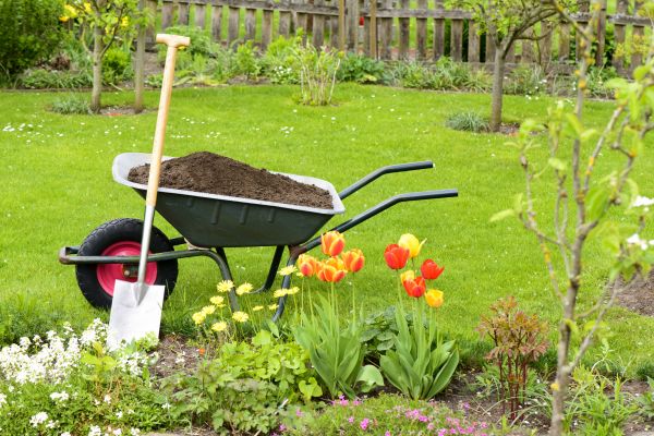 Spring Yard Renovation in Wexford