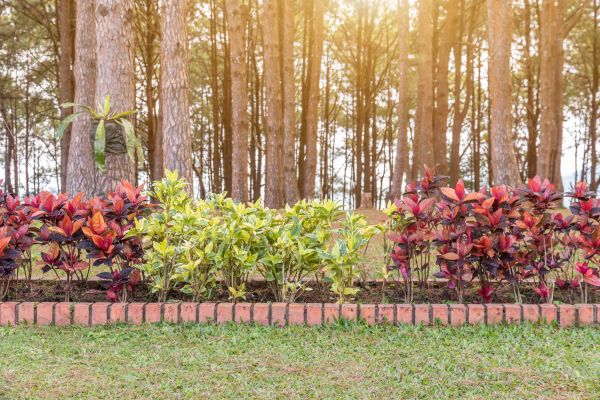 Small Garden Landscaping in Wexford