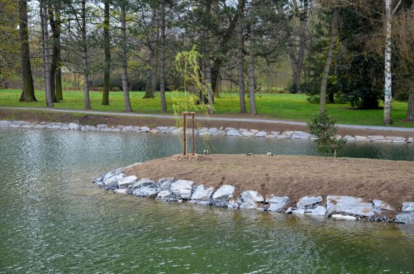 Pond Landscaping Service in Wexford