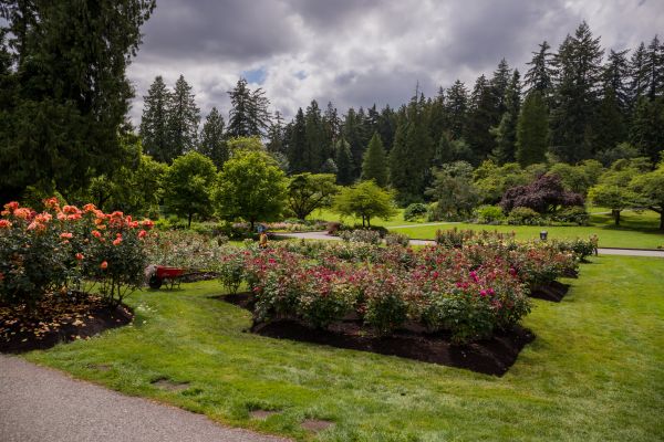 Flower Garden Landscaping in Wexford