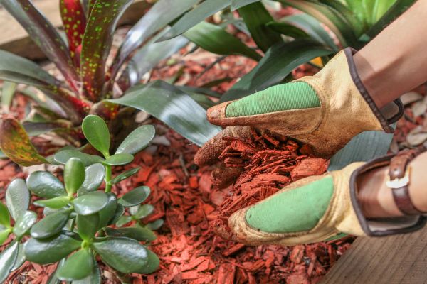 Residential Mulching in Wexford