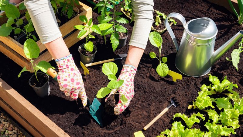 Garden Planting Service