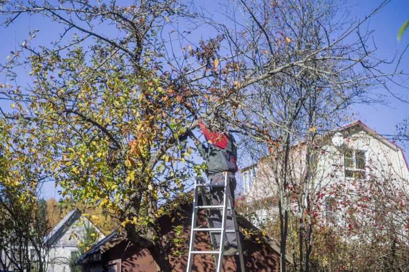 Tree Installation Service