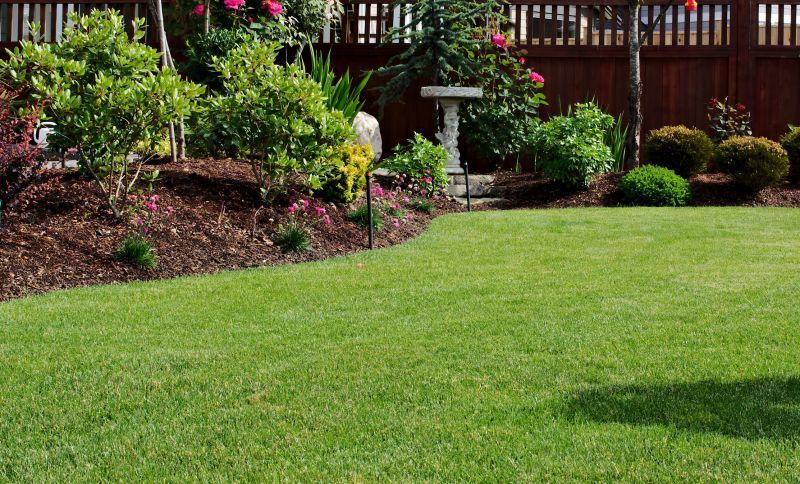 Yard Makeover Service
